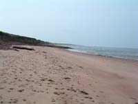 Secluded Beach