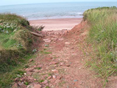 Pat to white sand beach